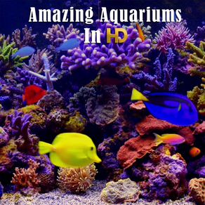 Amazing Aquariums In HD