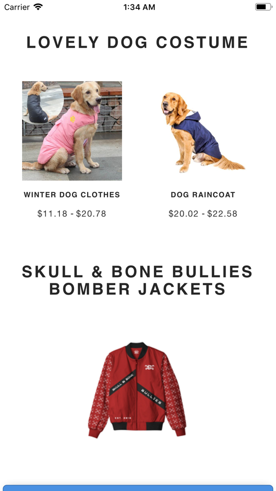 Skull & Bone Bullies poster