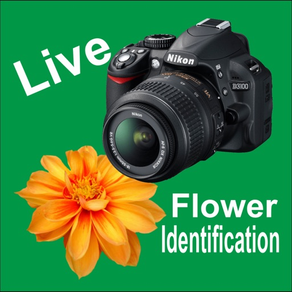 Live Flower Identify/Detector