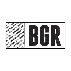 BGR - The Burger Joint