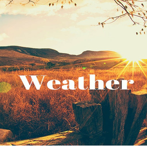 Weather-TN - Dự báo thời tiết ,Thông tin thời tiết