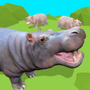 Hippo's eating