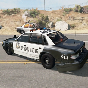 Juego de conducción policía