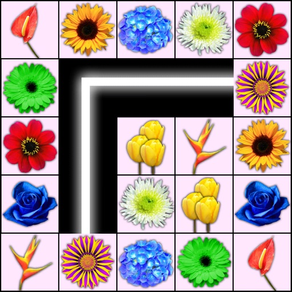 Onnect Flowers Match Puzzle