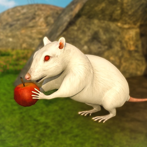 Jeux de simulation de rat 2020