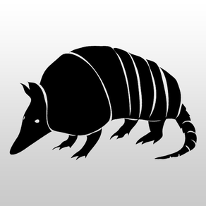 J&G ARMADILLO TAX SERVICE, LLC