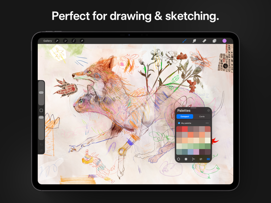 Procreate poster