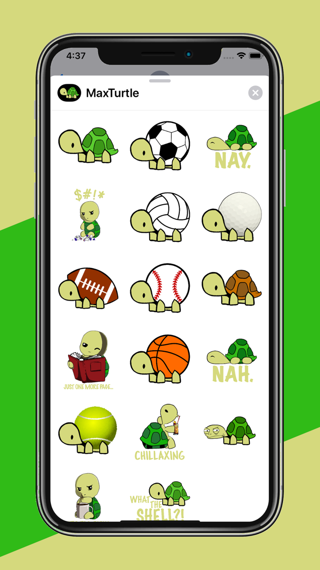 Max Turtle poster