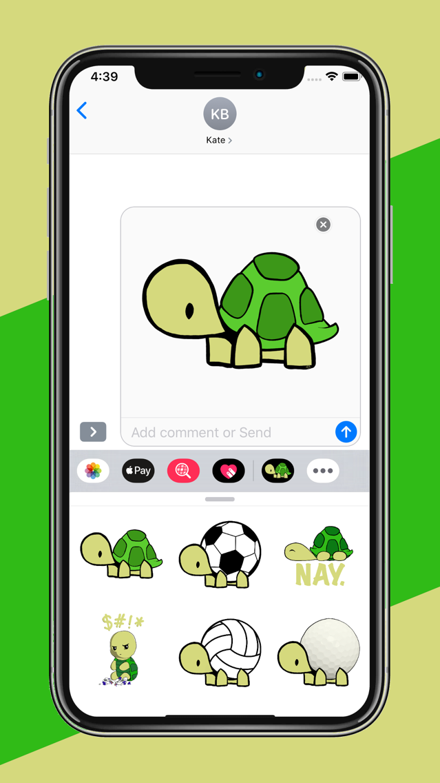Max Turtle poster