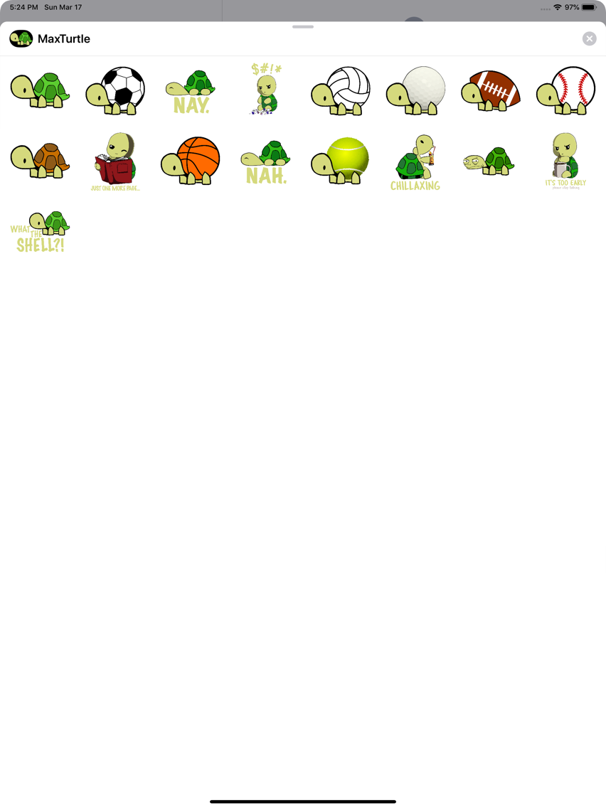 Max Turtle poster