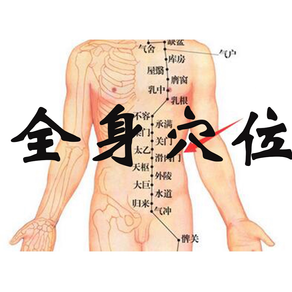 穴位大全 - 学会正确活络人体