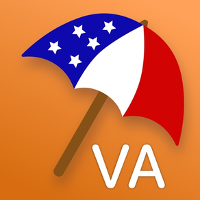 VA Disability Pay