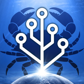 Cell to Singularity: Evolution