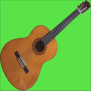 GuitarFret