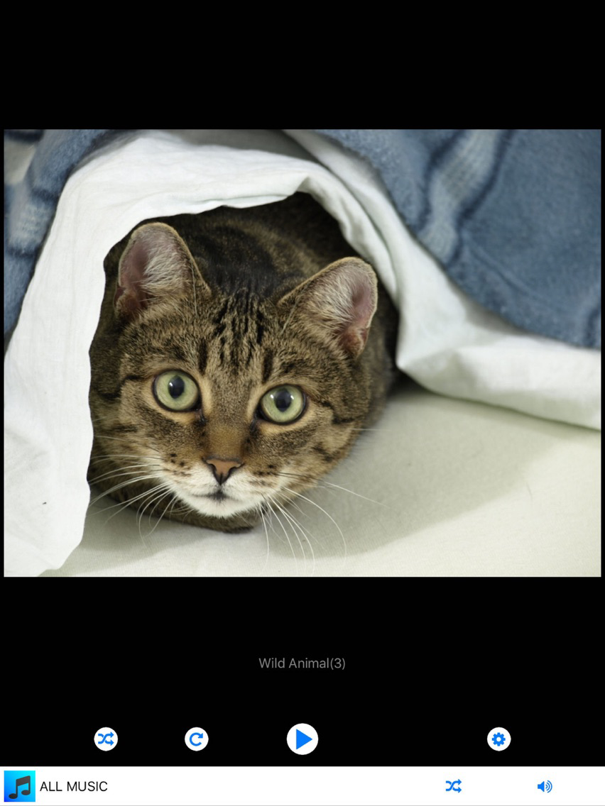 Simple Photo Slideshow for iOS (iPhone/iPad) Latest Version at 0.99 on