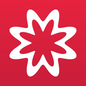 MathStudio Express