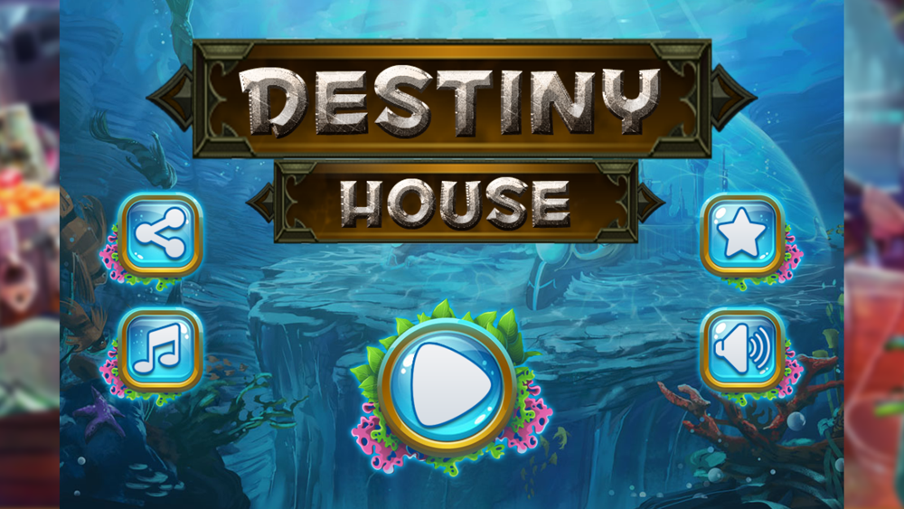Destiny House : Hidden Fun poster