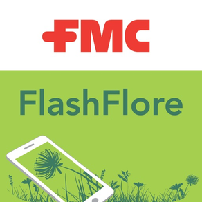 FlashFlore