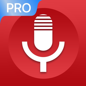 Voice Recorder - VOZ Pro