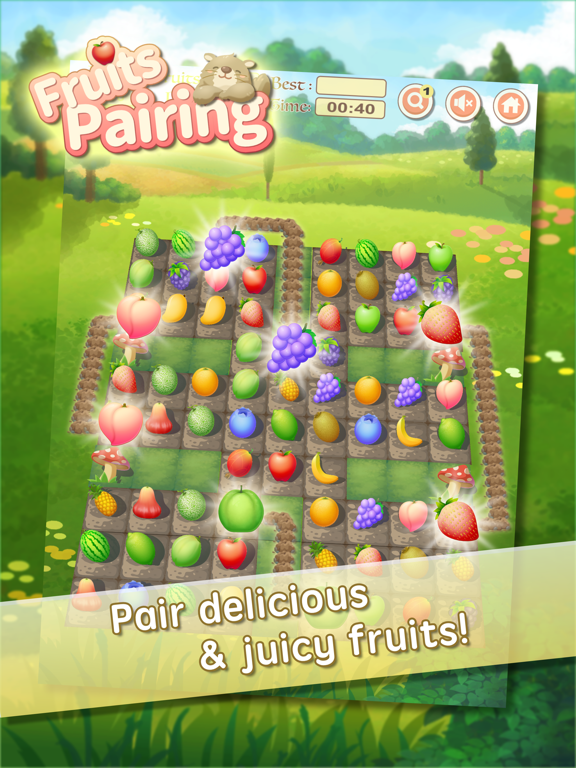 Fruits Pairing poster