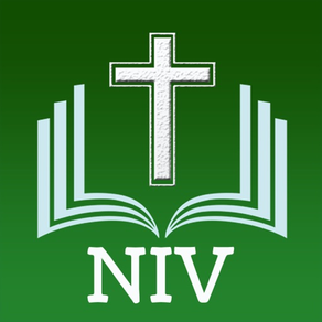 NIV Bible The Holy Version゜