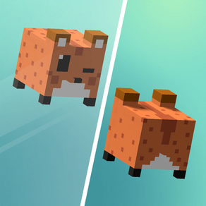 Twin Cubes !