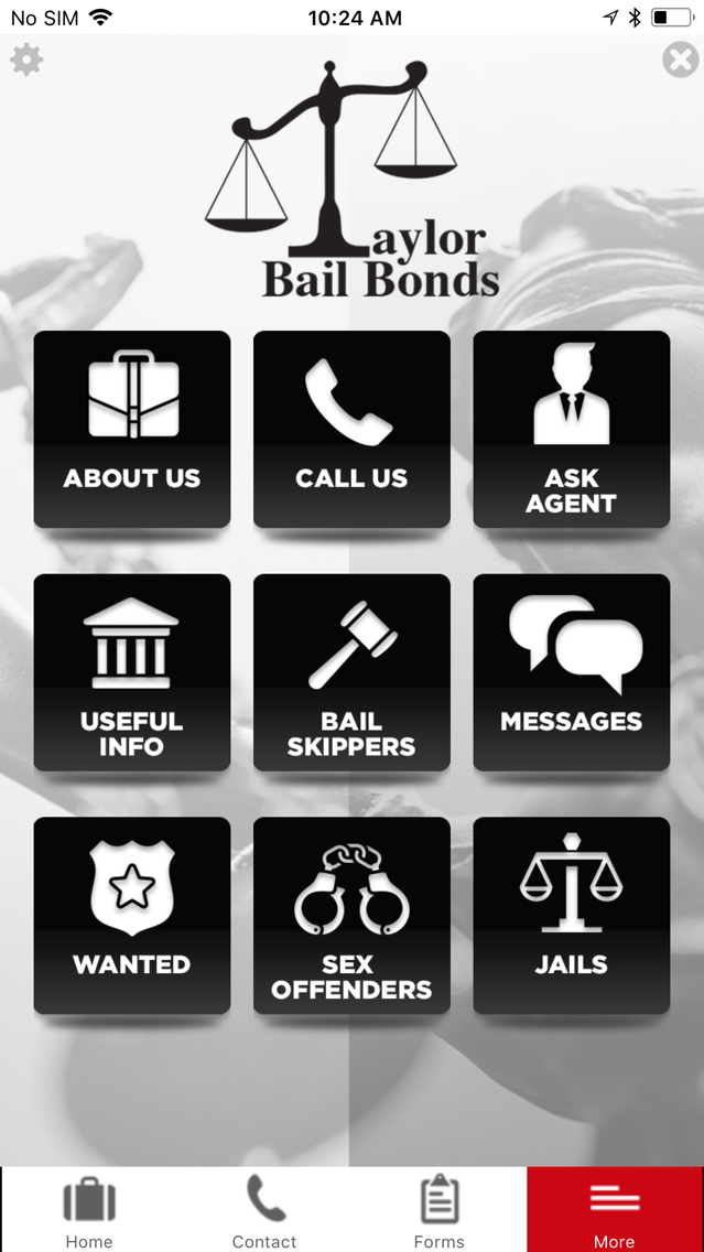 Taylor Bail Bonds 海報