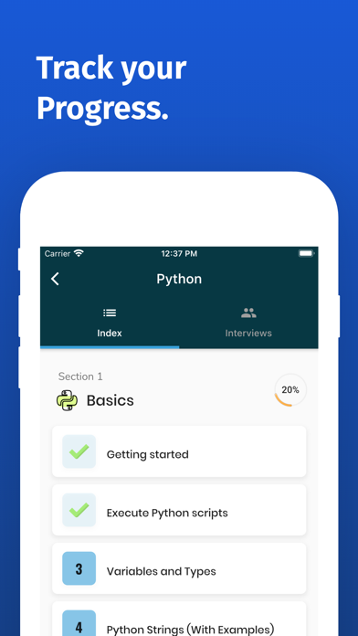 Learn Python 3 Programming PRO poster