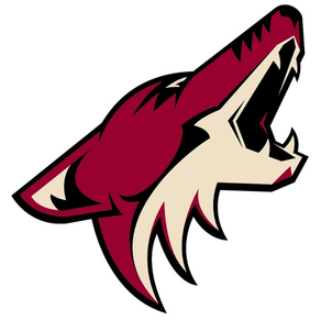 Arizona Coyotes Flashpoint