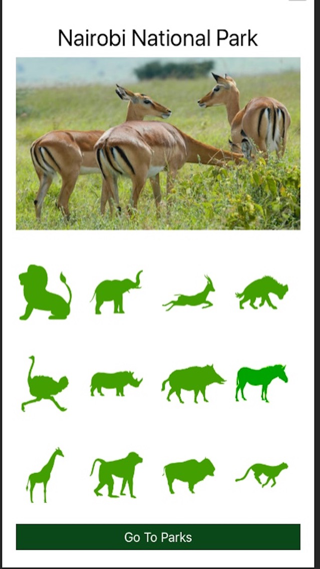 WildSight poster