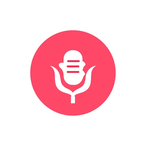 Voice Record - audio recorder