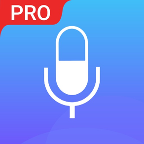 Enregistreur vocal Pro