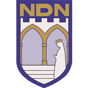 NDNin