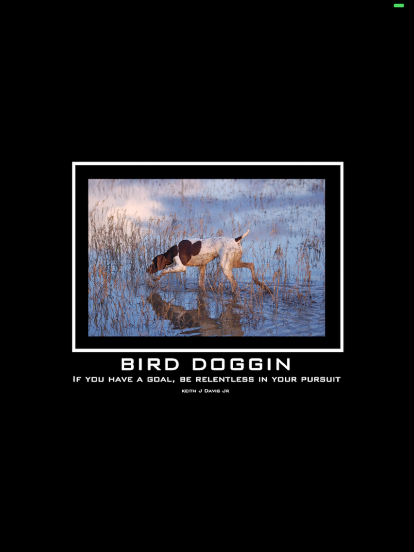 Bird Doggin poster