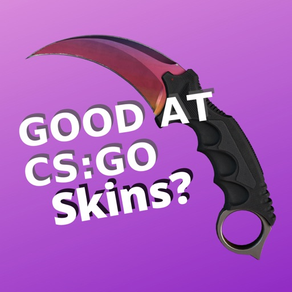 CS:GO Questionário