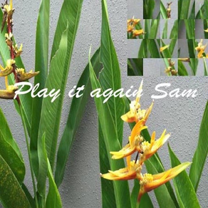 Play it again Sam