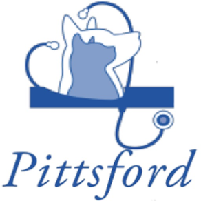 PittsfordVet