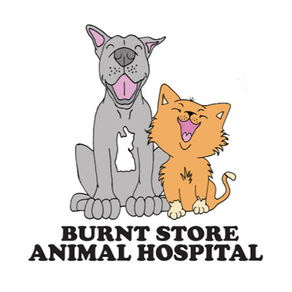 Burnt Store Animal Hospital