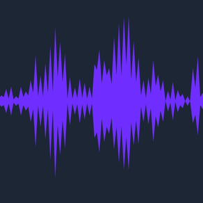 Audio Editor: Recording Studio