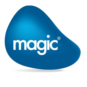 Magic xpa 3.3 Client 日本語版