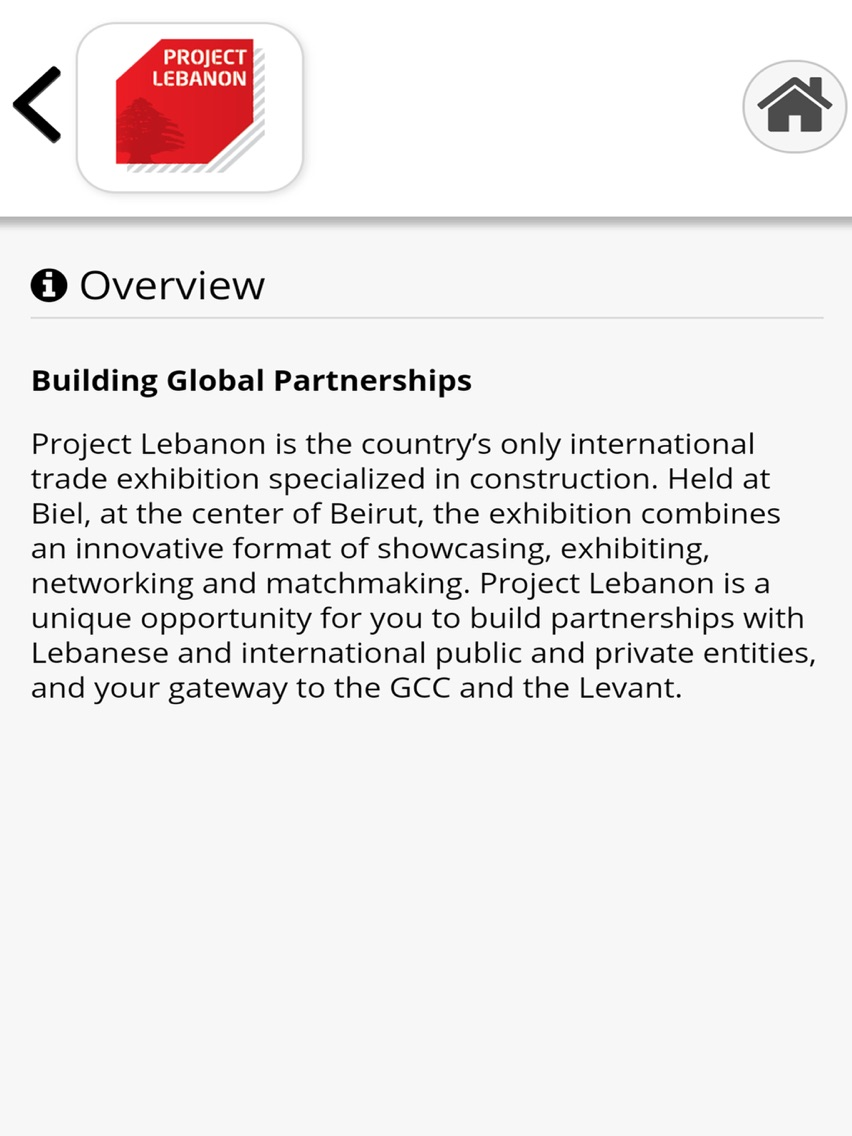 Project Lebanon poster