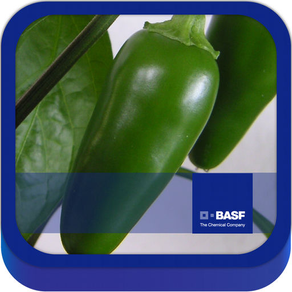 BASF México -  Cultivo del Chile
