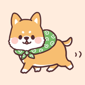 fluffy fat Shiba2