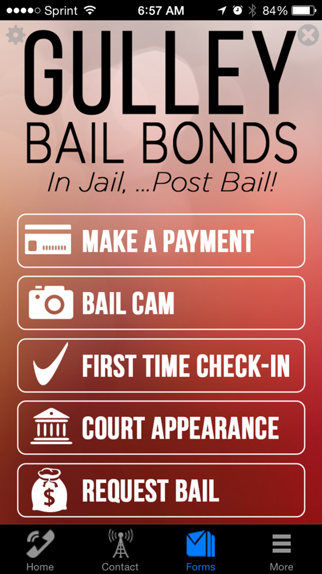 Gulley Bail bonds poster