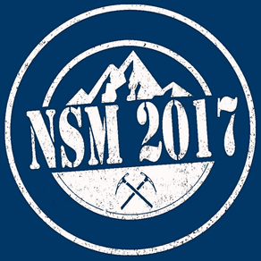 NSM17