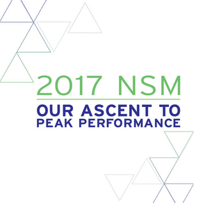 2017 MNK NSM