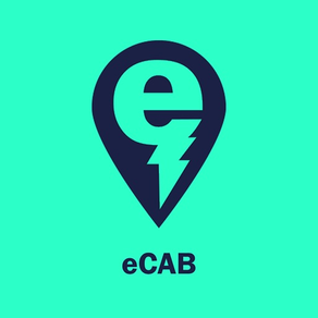 Electric Cab Passenger