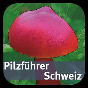 Pilzführer Schweiz