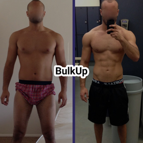 Bulk Up +