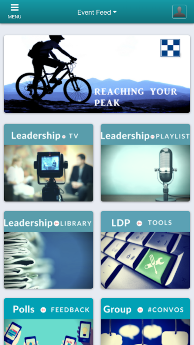 MedI LDP poster